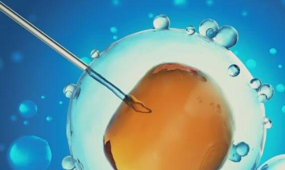 46岁高龄女性做试三代试管的成功率是多少?