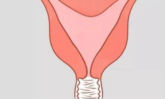 先天性双角子宫是否会影响女性怀孕？