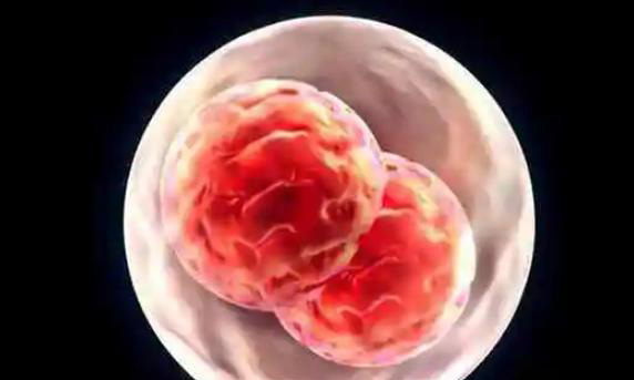 抗卵巢抗体阳性做试管胎停的几率大吗？