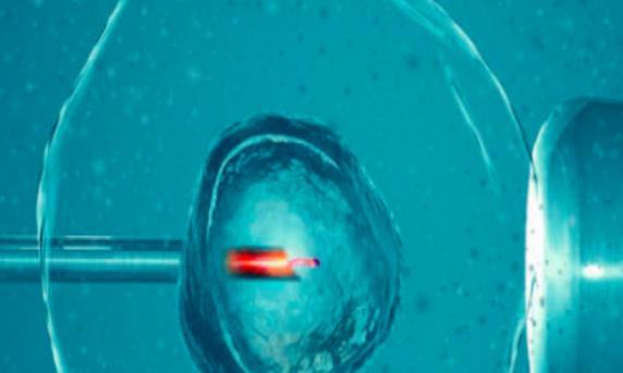 输卵管闭塞做试管会不会影响胚胎发育?