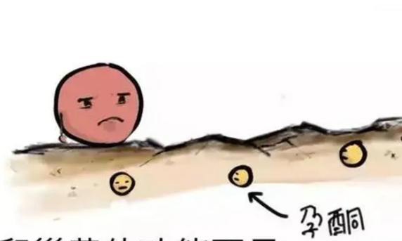 黄体功能不全管移植冻胚的成功率是多少?
