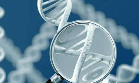 35岁以下女性做试管婴儿移植囊胚的畸形率是否更高?