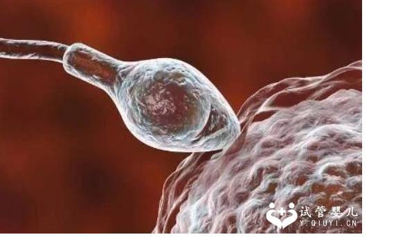 男方重度弱精做第二代试管成功率比一代的更高吗?