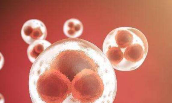 试管自然周期移植胚胎的步骤是怎样的?