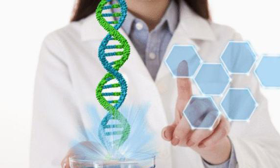 试管囊胚移植后不着床比生化妊娠还惨是为什么呢?