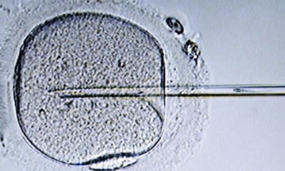 移植一个冻胚可以成功吗？求成功经验分享？