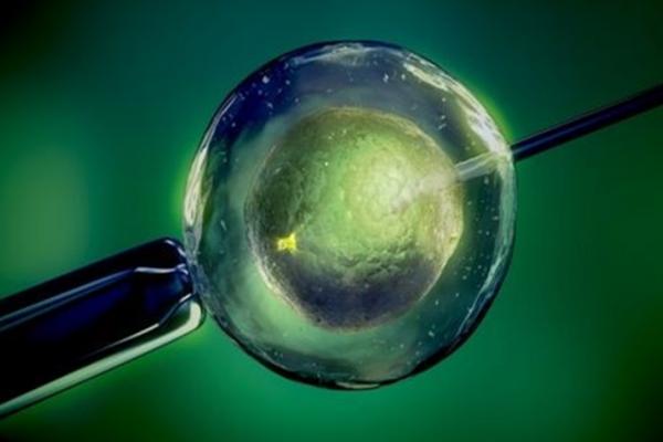 冷冻胚胎一年的收费标准公布，预算两万也足够