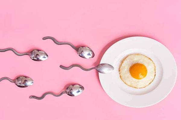 2022年马来西亚试管婴儿攻略新出炉,这份自助试管攻略记得收藏