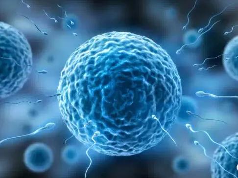 降调14天后能不能促排，要看降调是否成功