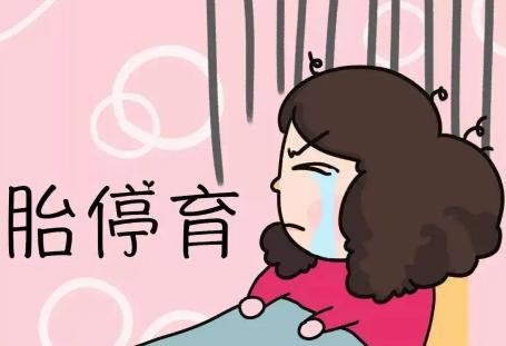 什么原因导致出现胎停的人越来越多？这些导致胎停的原因不可大意