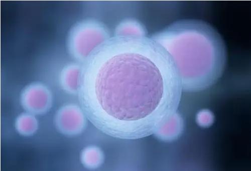 试管黄体期长方案，看看你适不适用