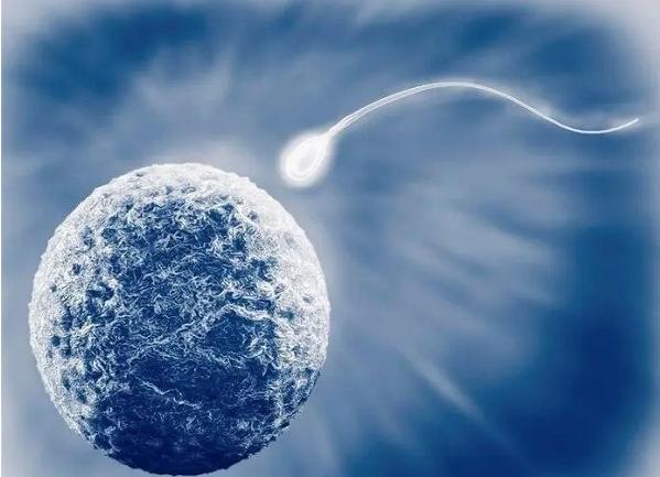 试管人工周期流程，需要这4个步骤