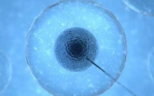 试管婴儿冷冻胚胎等级，告诉你b级别怎么样！