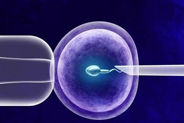 云南试管医院费用明细一览，附各项目收费详情