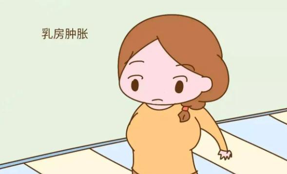 来姨妈前胸会有硬块,及时治疗比较重要