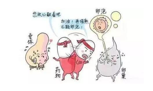 试管降调完容易出汗是什么原因，是副作用吗