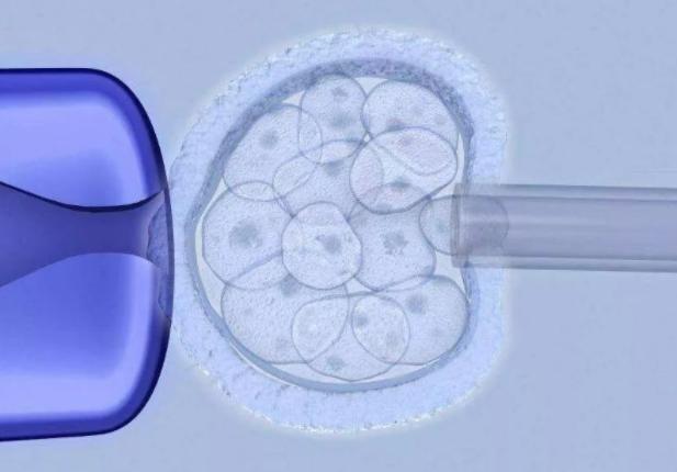 同样是做试管婴儿，为何促排方案不一样