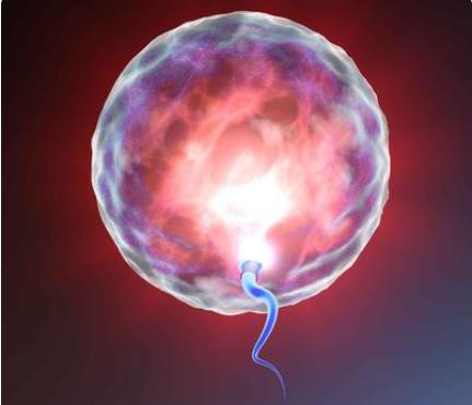 试管婴儿取卵不仅无痛和有痛有区别，还有费用