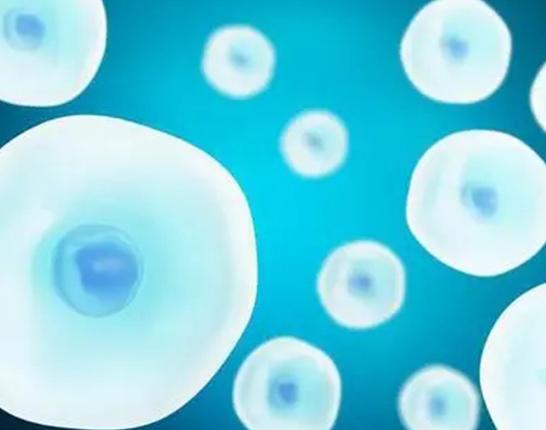 怀孩子助孕激素会高吗,出现这几点要注意了