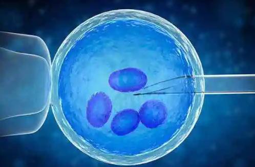 冻胚移植前促排不是比较重要的关键是要做好这些准备