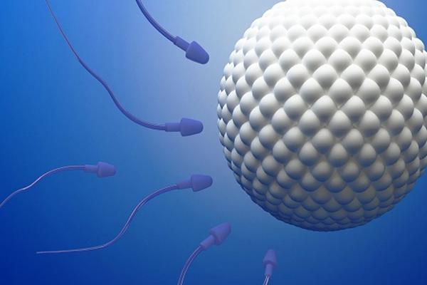 盘点2022东阳能做试管婴儿的医院，附试管费用、成功率一览