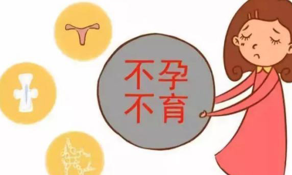 始基子宫试管移植冻胚要注意什么?前几天可以性生活吗