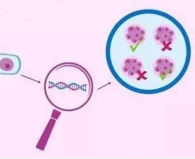 40岁试管成功率如何？影响成功率因素有哪些