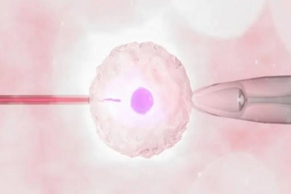 山东济南三代试管医院排名一览,仅有一家医院上榜