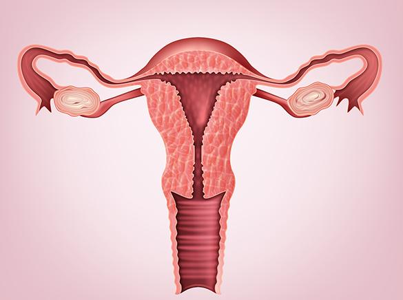 怀孕女生会有的症状有哪些,早期会出现月经停止