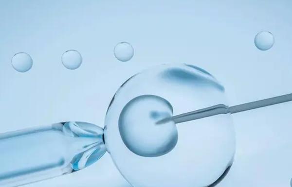  做试管婴儿移植前后要知道的注意事项，千万别忽视