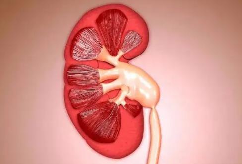 孕期出现这些症状多半是说明孕妇富强妈患有肾盂分离的征兆