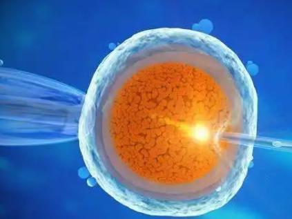 三代试管移植前做好这些让等待的时间不再白费