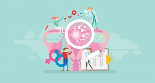 囊胚6bc等级好不好？