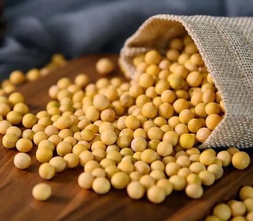 促排卵期间吃什么有助于卵泡生长