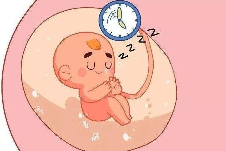 胚胎质量不好几周胎停?