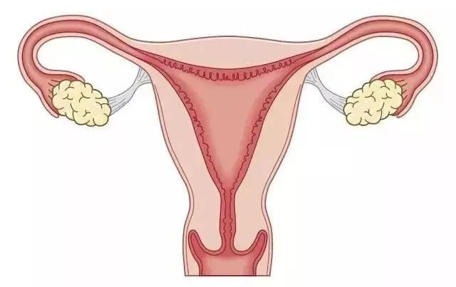 自己体内膜过厚有哪些危害？