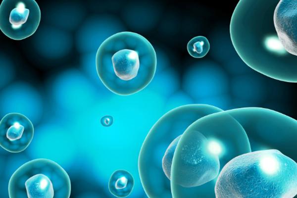 盘点6aa囊胚移植后不能马上着床的原因,对比下移植成功率你就知道了