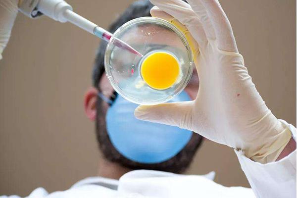 42岁做试管婴儿生二胎晚不晚有成功案例吗?