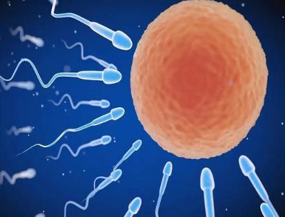 2022年重庆试管婴儿费用有机会全免,专家:必须满足这三个条件