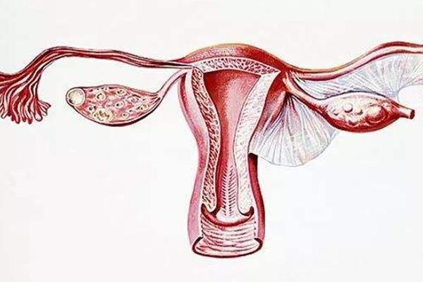 宫腔粘连多久可以移植胚胎?具体移植时间还得据病情而定