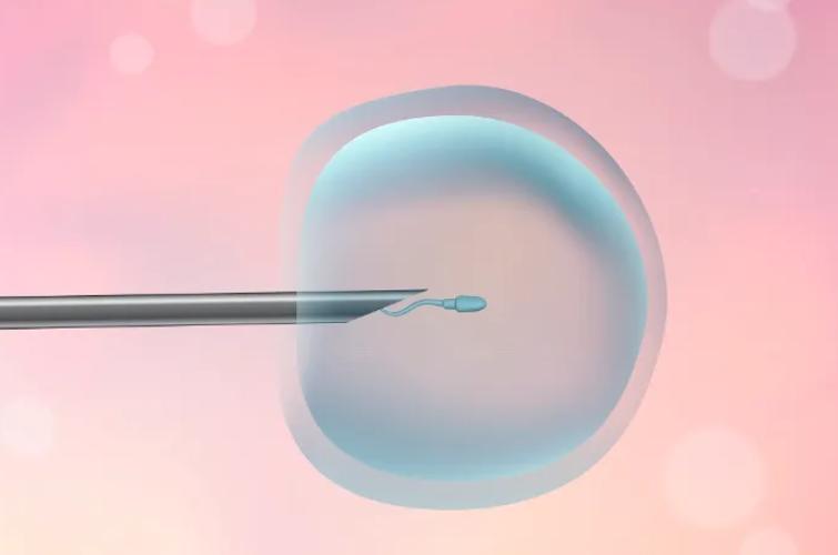 2022试管婴儿助孕费用一眼收尽,附比较新省钱攻略