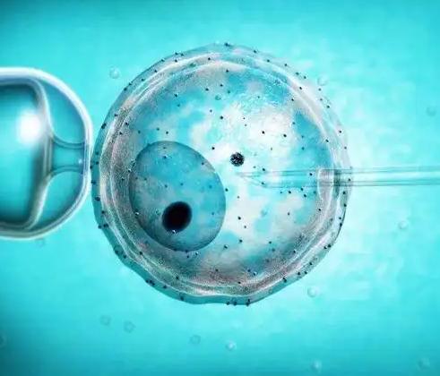 女性绝经后做三代试管，做到这三点就能提高成功率