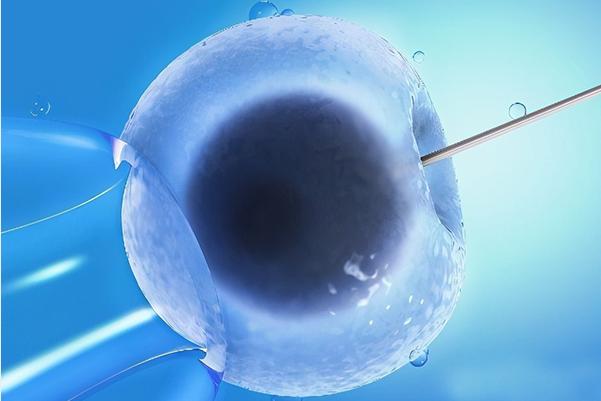 2022在上海做试管婴儿费用很高吗?一般家庭也能承受