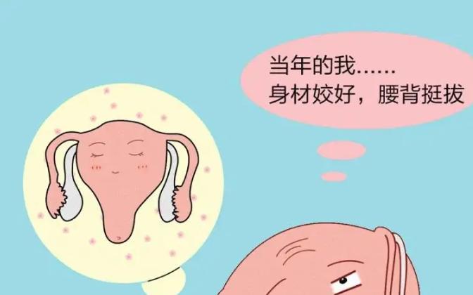 AMH0.04试管怀孕几率只有这么多,调理卵泡发育或许有希望