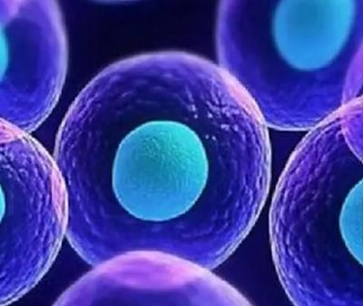 西北医院做试管婴儿怎么样?成功率有多少?