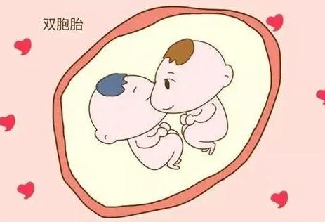 试管婴儿双胞胎做过一次下次还能再做吗?
