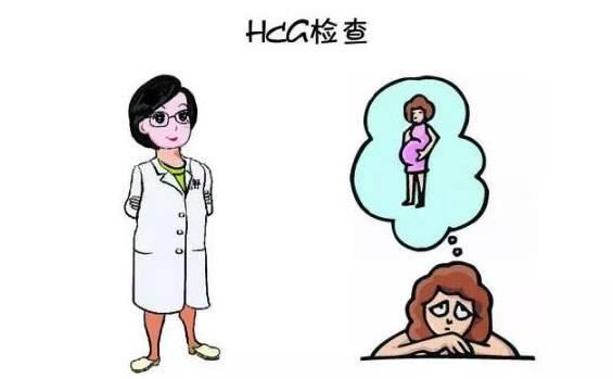 六周hcg能判断孩子助孕，学会这种方法准确率能达到95%