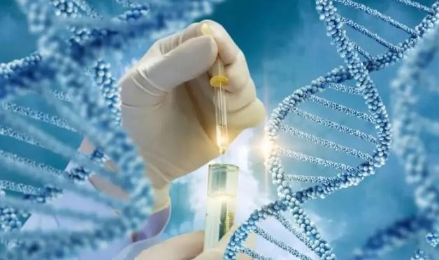 生育指南：精子畸形率高怎么办？必须做试管吗？