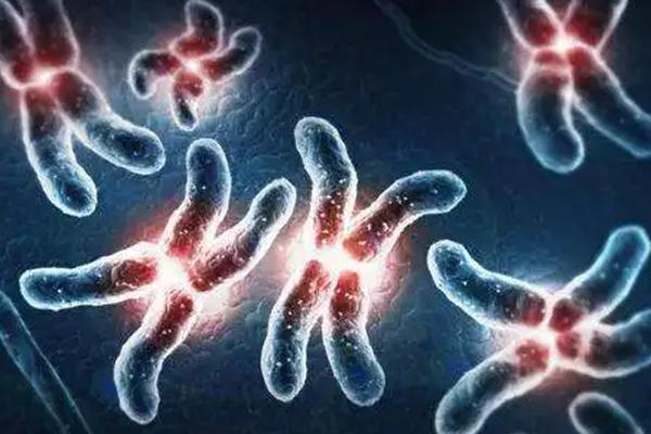 18号染色体能决定男女吗?专家:18号染色体看男女是谣言