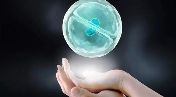 冻胚移植着床时间有差异，测得结果才算数